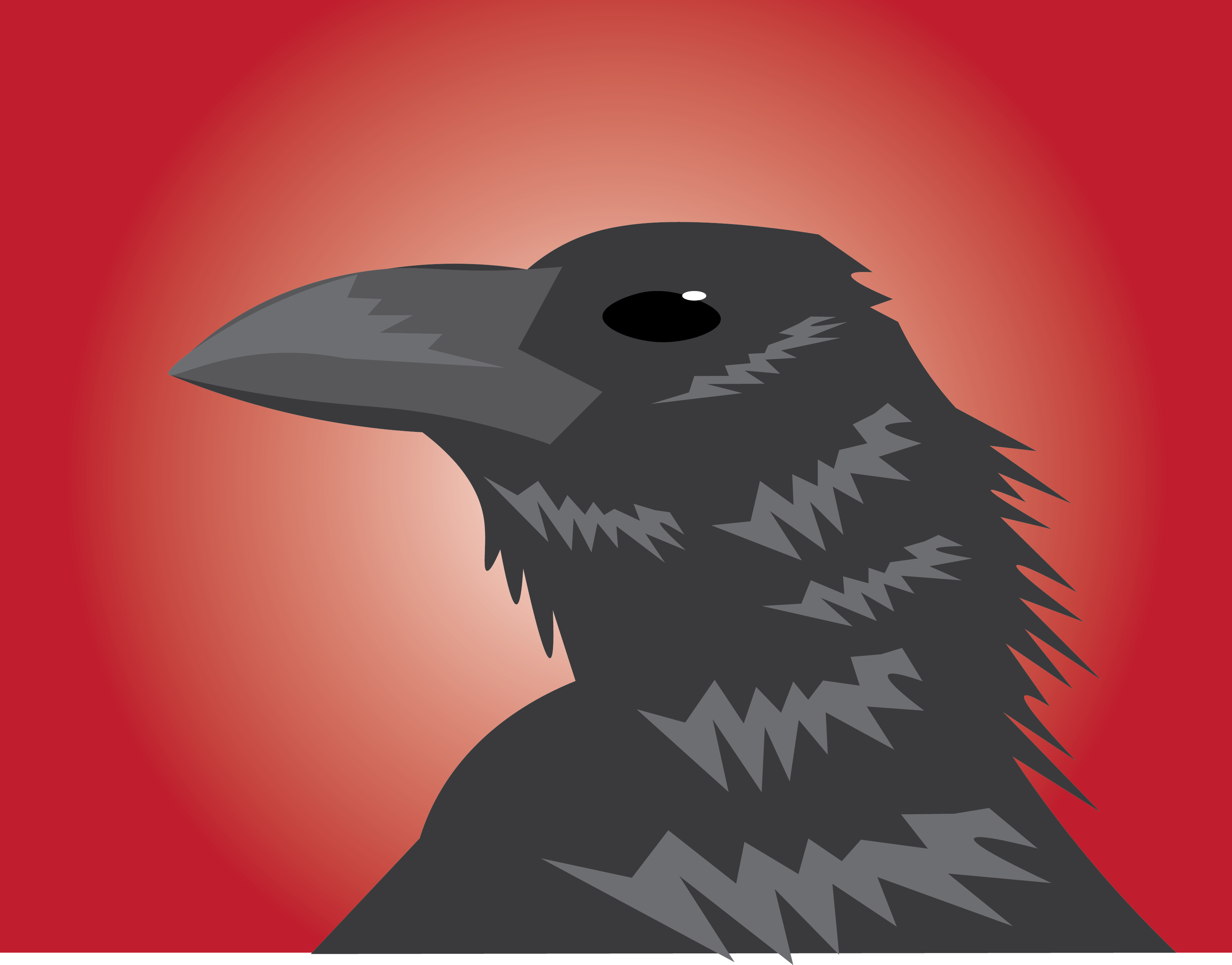 crow illustration